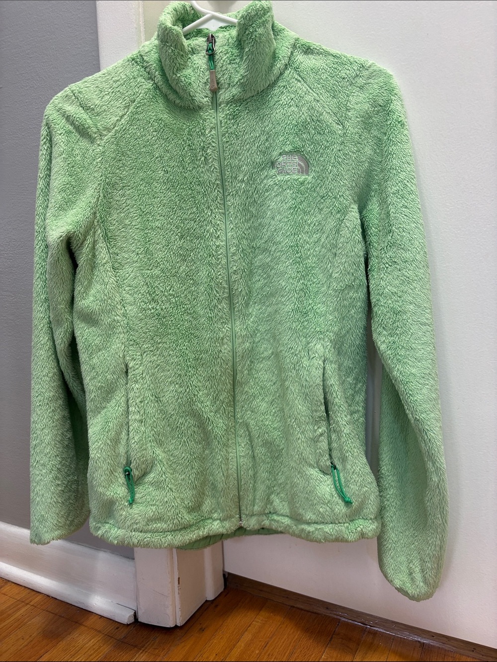 The North Face Kids Light Green Plush Full-Zip Fleece Jacket